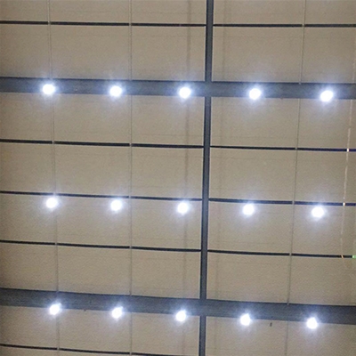電動(dòng)天棚簾
